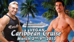cruise2