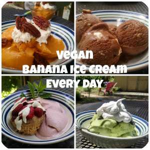 Vegan Banana Ice Cream