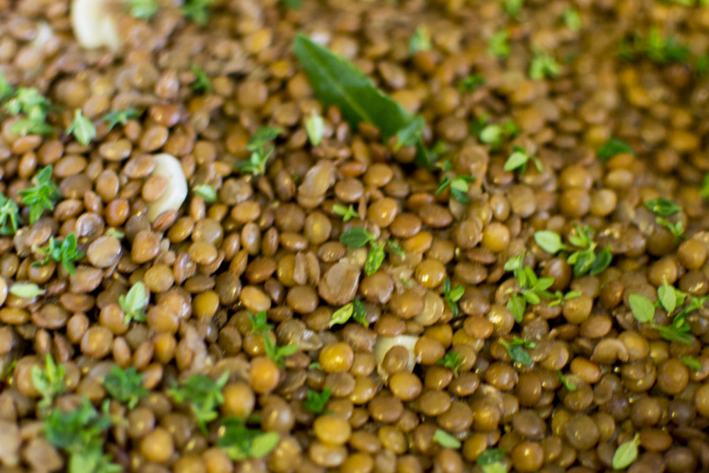 Lentil filling for vegan shepherd's pie