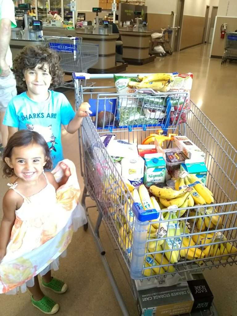 plant-based groceries and plant-based kids