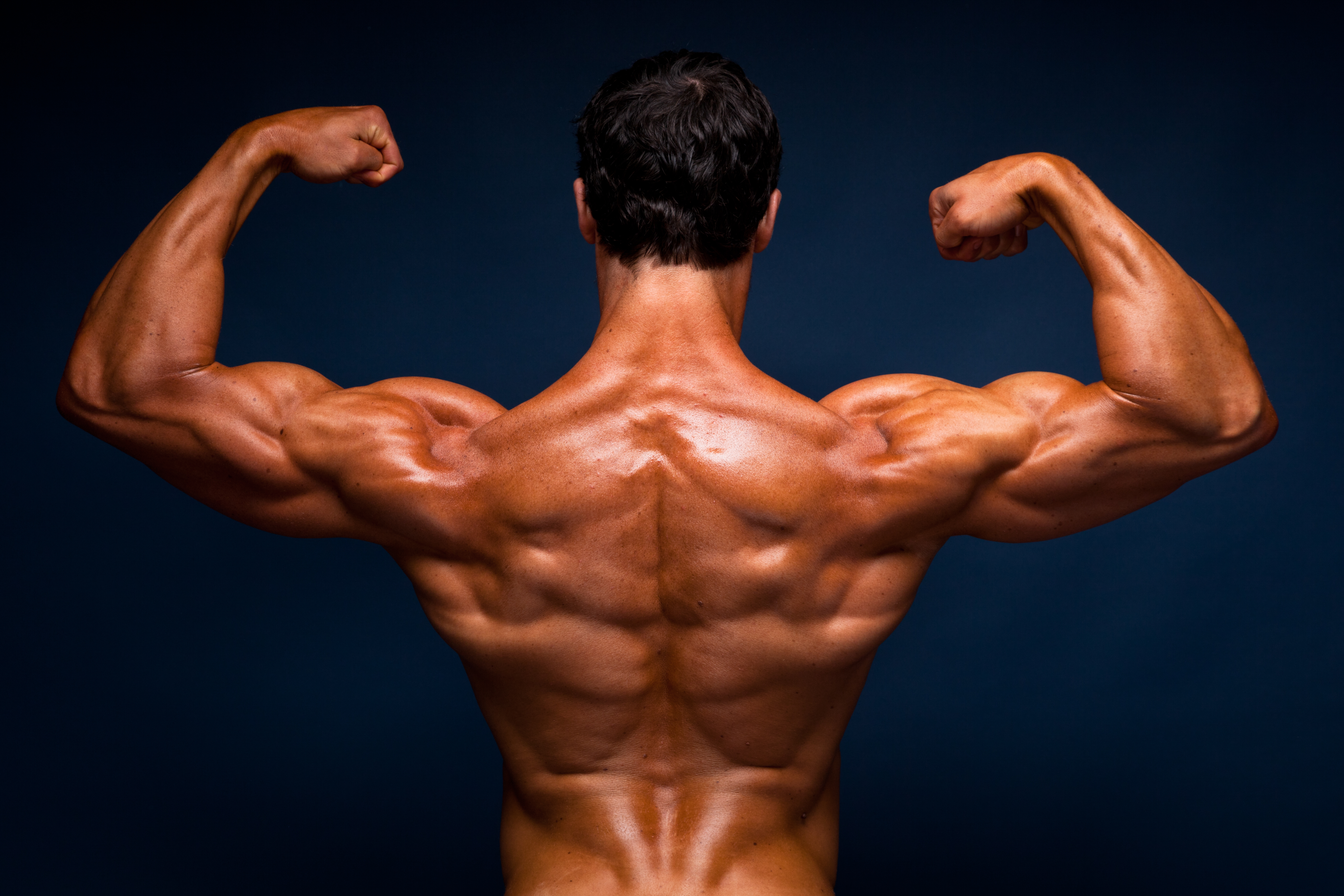 how to successfully build muscle on a vegan diet pdf