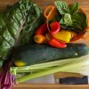 Stuffed Rainbow Chard Rolls: Perfectly Plant-Based Recipe