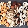 Mushrooms: The Overlooked Superfood for Muscle Growth and Longevity